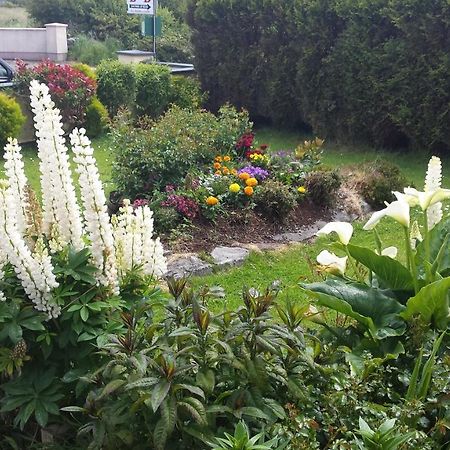 Riverwalk House B&B Oughterard Kültér fotó