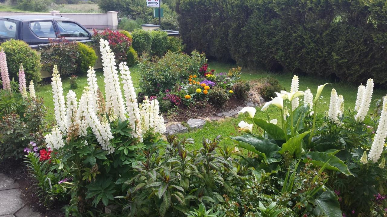 Riverwalk House B&B Oughterard Kültér fotó